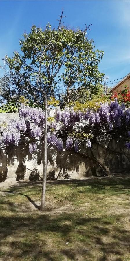 Frühstückspension Chez Fleur Avignon