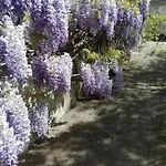 Chez Fleur